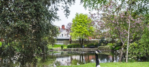 3. Ashton Gardens 