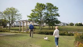 Walking the dog in one of the park's pretty holiday home areas 