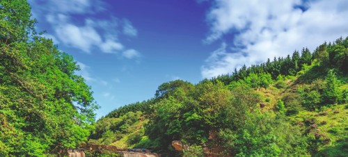 Crammel Linn, Brampton