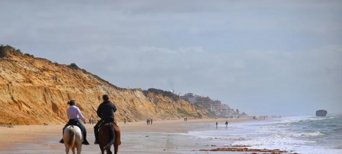 5. Horseback Riding Along the Beach  