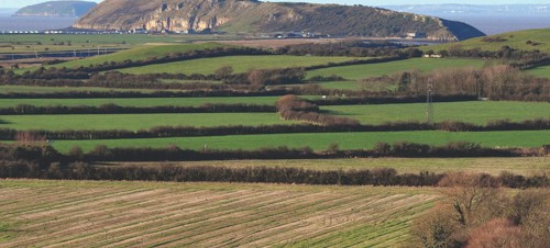 Days out in Somerset