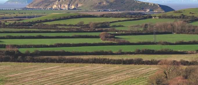 5. Bleadon Hill walk