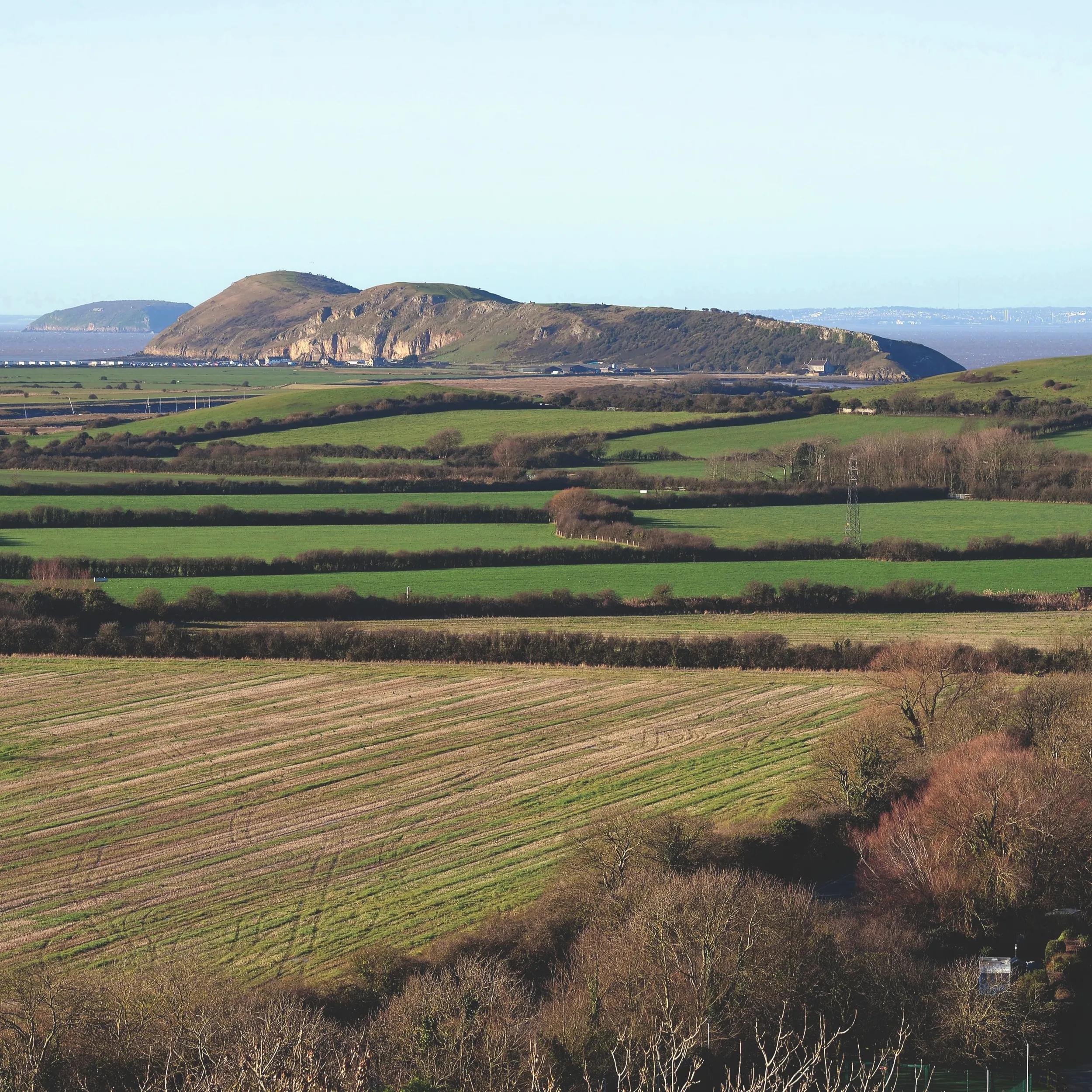 Days out in Somerset