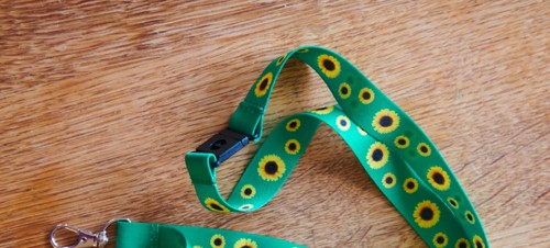 Why Hidden Disabilities Sunflower?