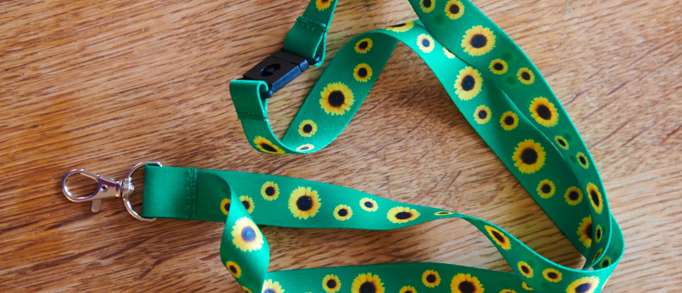 Why Hidden Disabilities Sunflower?