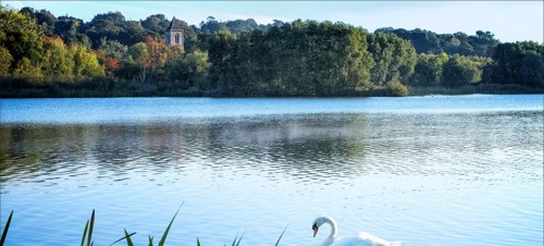 1. Get active at Whitlingham Country Park 