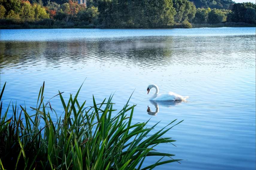 1. Get active at Whitlingham Country Park 