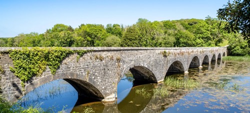 Walk in Bosherston Lily Ponds, Bosherston 