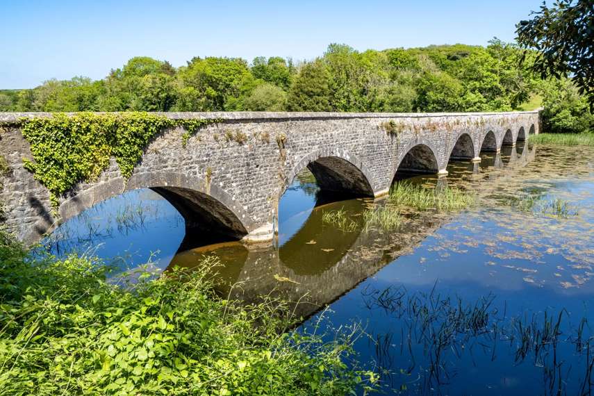 Walk in Bosherston Lily Ponds, Bosherston 