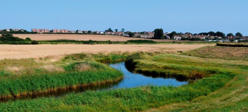 2. The Naze Nature Reserve 