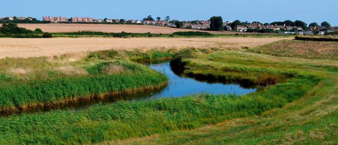 2. The Naze Nature Reserve 