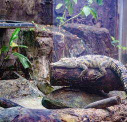 Sealife Great Yarmouth