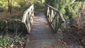 Colby Woodland Garden, Pembrokeshire