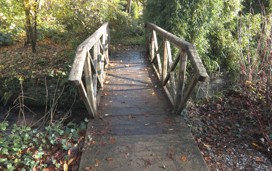 Colby Woodland Garden, Pembrokeshire