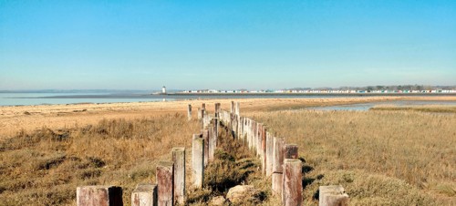 3. Point Clear Bay circular walk