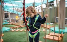 Mini Aerial Adventure