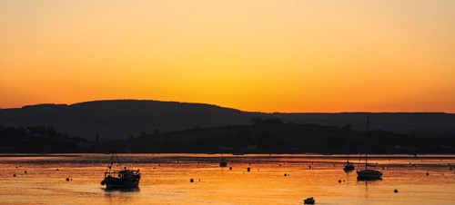 5. Bike the Exe estuary trail