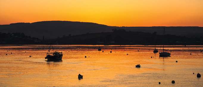 5. Exe Estuary Trail