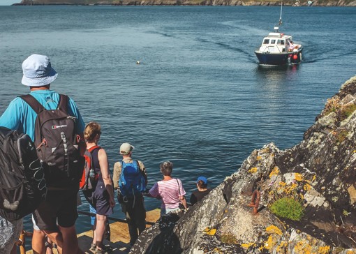Boat trips in Pembrokeshire