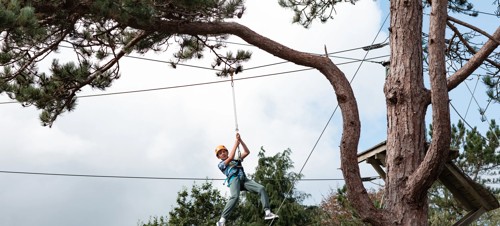 Aerial Adventure