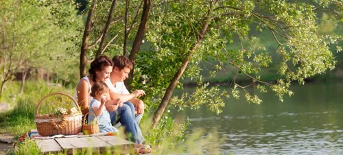 Best places to visit for kids aged 4-11 in Somerset 