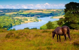 Places to visit in Yorkshire