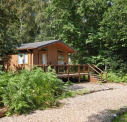 A lodge nestled in woodland at Wild duck Holiday Park in Norfolk.