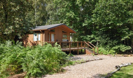 A lodge nestled in woodland at Wild duck Holiday Park in Norfolk.