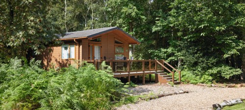 A lodge nestled in woodland at Wild duck Holiday Park in Norfolk.