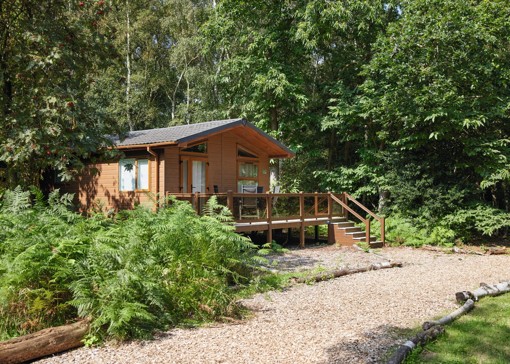 What's new at Wild Duck Holiday Park