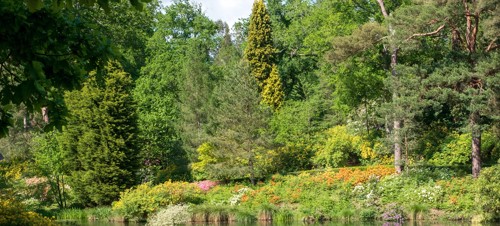 5. Horsham Park