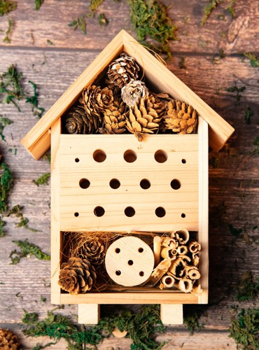 Create your own Haven Bug Hotel.