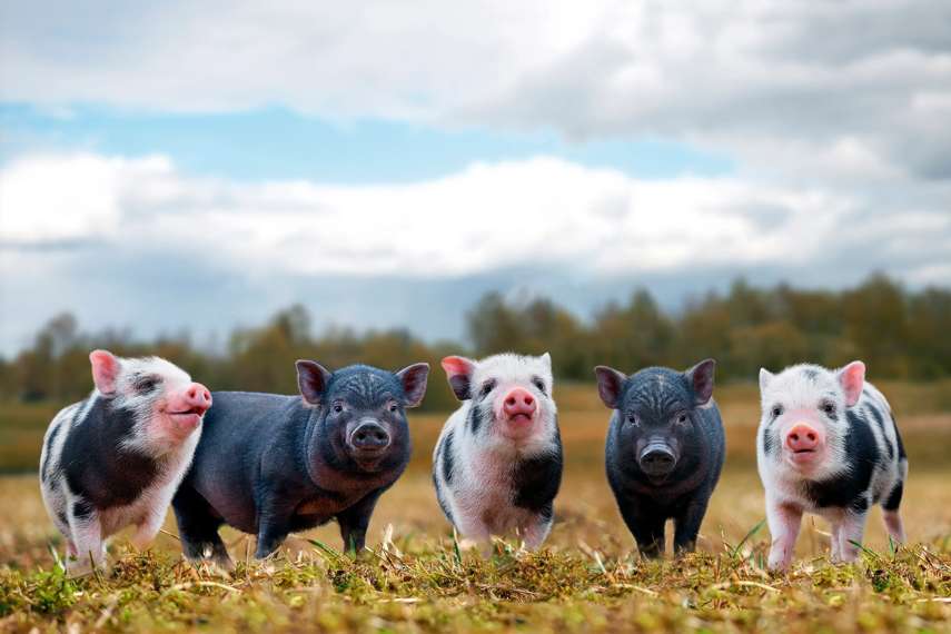 Best places to visit for babies and toddlers in Essex