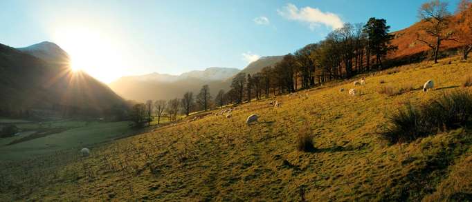 Grizedale Forest 