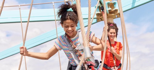 Aerial Adventure at Hafan y Mor