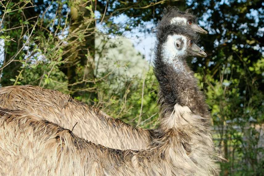 1. Knockhatch Adventure Park 