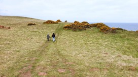 Trail in Berwick upon Tweed