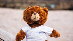 Take home your own cuddly companion with Haven's new Make a Bear activity 