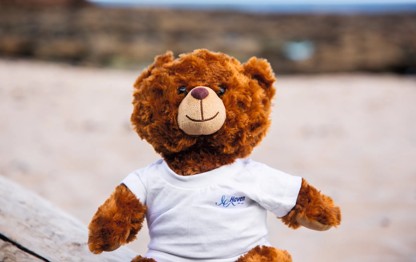 Take home your own cuddly companion with Haven's new Make a Bear activity 