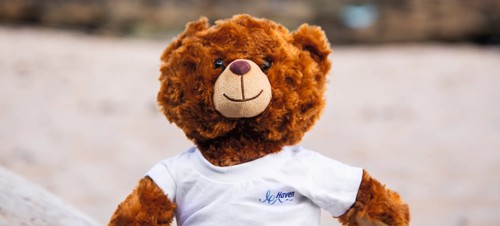 Take home your own cuddly companion with Haven's new Make a Bear activity 