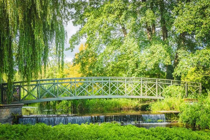 3. Athelhampton House and Gardens, Dorchester 