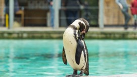 SEA LIFE Adventure Park