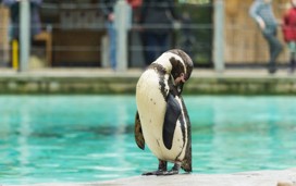 SEA LIFE Adventure Park