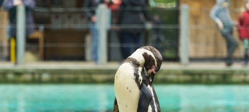 2. SEA LIFE Weymouth