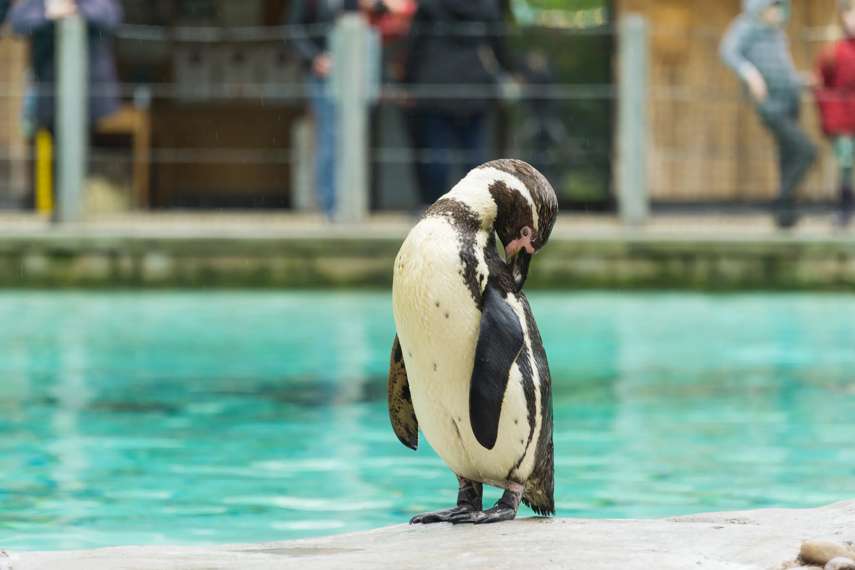 2. SEA LIFE Weymouth