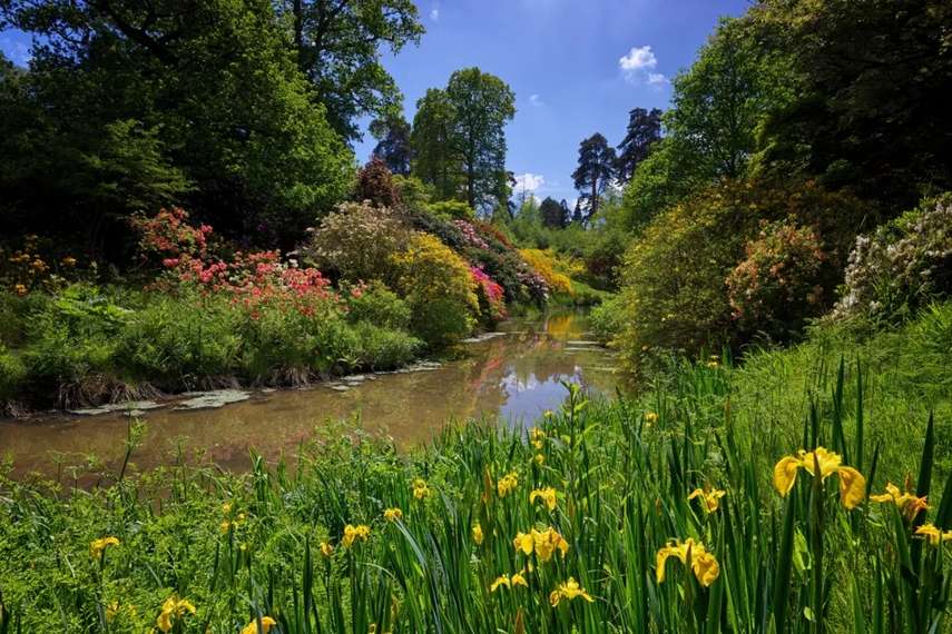 8. Leonardslee Lakes and Gardens 