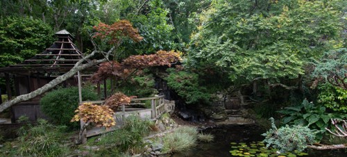 4. The Japanese Garden 