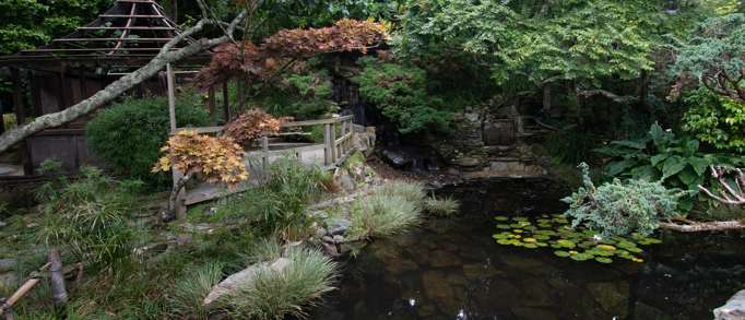 4. The Japanese Garden 