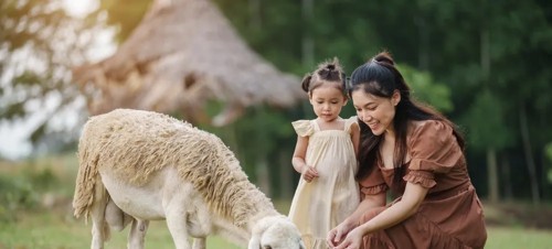 Best places to visit for babies and toddlers in North Wales