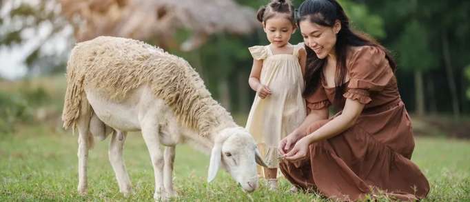 Best places to visit for babies and toddlers in North Wales